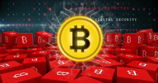 Digitális Animáció Egy Arany Bitcoin Közepén Digitális Kapcsolatok Gyűrűk Piros — Stock videók