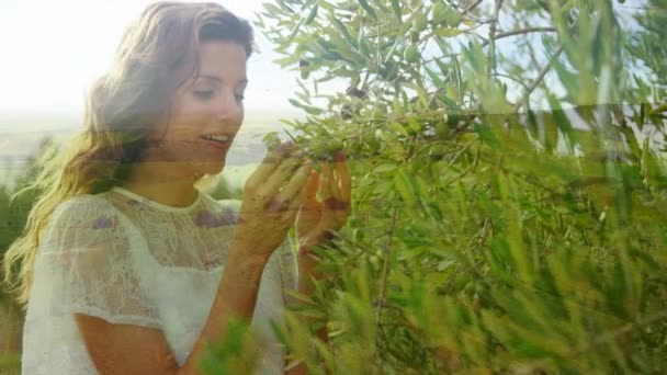 Composto Digital Uma Mulher Caucasiana Colhendo Bagas Com Vista Para — Vídeo de Stock