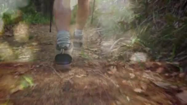 前景にボケライトを備えた森林トレイルでのハイキングのデジタルコンポジット — ストック動画