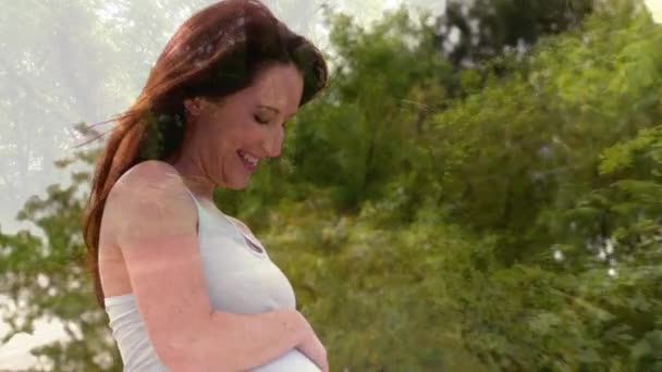 前景の木で公園で彼女の腹を保持している白人の妊娠中の女性のデジタルコンポジット — ストック動画