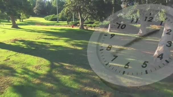 前景で時計を流す木々でいっぱいの公園のデジタルコンポジット — ストック動画