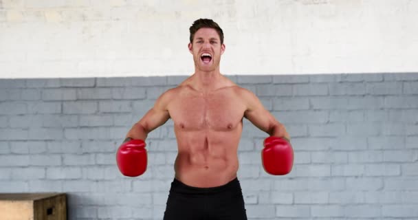 Vue Face Boxeur Masculin Caucasien Avec Expression Sérieuse Hyping — Video