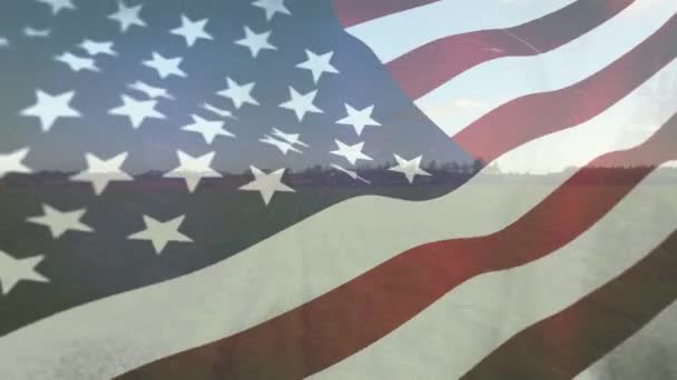 Цифровая Композиция Американского Флага Размахивающего Против Ветра Открытого Поля Заднем — стоковое видео