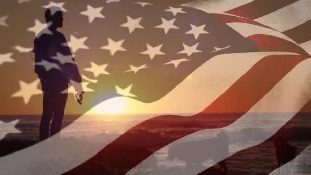 Digital Composite Man Watching Sunset Beach His Dogs American Flag — Stock Video