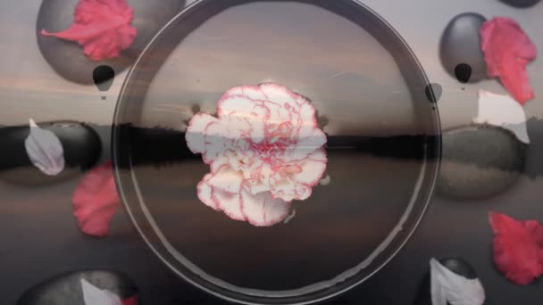 바위와 꽃잎이 그릇물에 떠있는 디지털 합성물은 하늘을 호수를 보여줍니다 — 비디오