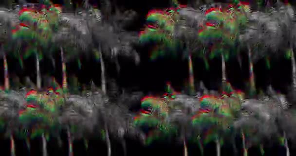 Цифрова Анімація Барвистих Монохромних Пальм Рухаються Чорному Тлі — стокове відео