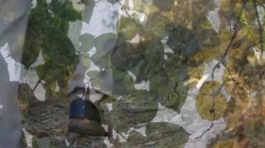 Yaprakları ve güneş ışığı bir arka plan ile bir ormanda yürüyen bir adamın dijital kompozit