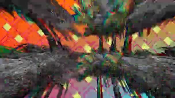 黄色とピンクの正方形のパターンを背景に画面内を移動するカラフルでモノクロのヤシの木のデジタルアニメーション — ストック動画