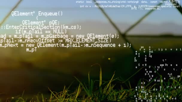 Цифровая Анимация Программных Кодов Перемещающихся Экрану Фоне Поля Течение Дня — стоковое видео