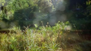 Bokeh ışıkları ile görünümüne bakarak bir dağda bir erkek Kafkas yürüyüşçü dijital kompozit