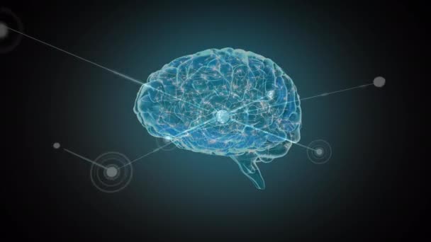 背景に線のネットワークを持つ脳のデジタルアニメーション — ストック動画