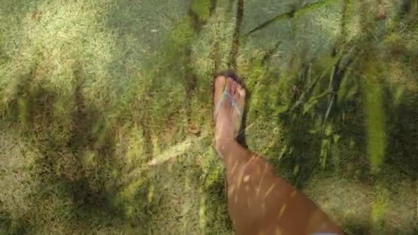 草の上を歩くスリッパを履いた脚のデジタルコンポジット — ストック動画