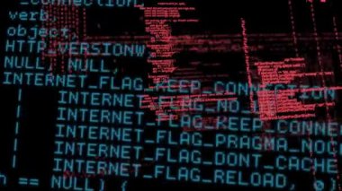 Mavi ve pembe program kodlarının dijital animasyonu siyah bir arka plana karşı hareket ediyor