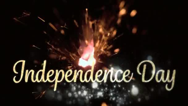 Animación Digital Del Texto Del Día Independencia Oro Con Luces — Vídeo de stock