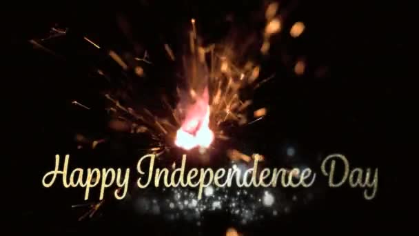 Digital Animation Gold Happy Independence Day Text Bokeh Lights While — Stock Video