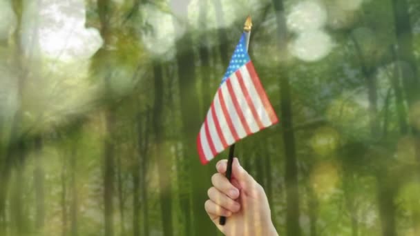 Digitalkomposit Der Hand Mit Amerikanischer Flagge Während Hintergrund Ein Wald — Stockvideo