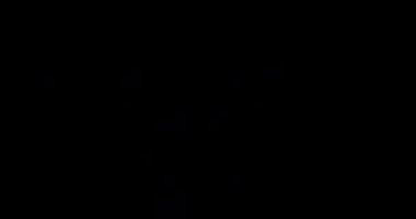 Mor havai fişek siyah bir arka plan üzerinde patlayabilir ise kırmızı ve mavi degrade çizgilerbağımsızlık günü metin dijital animasyon. 4k