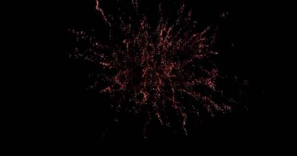 Cyfrowa Animacja Czerwonych Fajerwerków Wybucha Czarnym Tle — Wideo stockowe