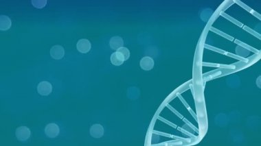 Ekranın sağ tarafında dönen DNA çift sarlak ve mavi arka planda hareket eden bokeh ışıklarının dijital animasyonu.