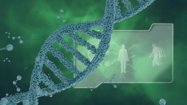 Animación Digital Adn Doble Hélice Hecha Modelo Molécula Giratoria Carpeta — Vídeo de stock