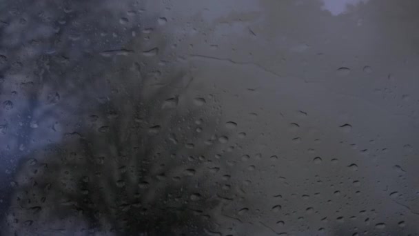 背景が動く木々のシルエットとライトがちらつくと一緒に湿気のある霧の窓のデジタルアニメーション — ストック動画
