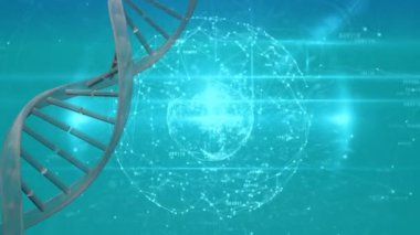 Bir küreye şekillenmiş bağlı çizgilerle Dna sarlisinin dijital animasyonu