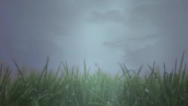 在暴风雨中雨天湿草的数字动画 在背景中可以看到闪电 — 图库视频影像
