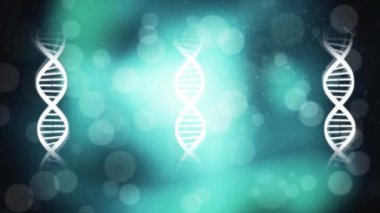 Parlayan ışıklar ve bokeh ışık efektleri ile bir arka plan üzerinde dönen Dna sarlisinin dijital animasyonu. Dna sarlisi dönüyor..