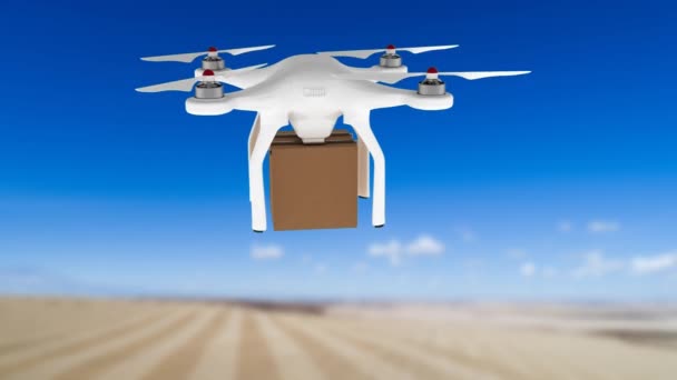Geniş Bir Alan Üzerinde Bir Paket Taşıyan Bir Drone Dijital — Stok video