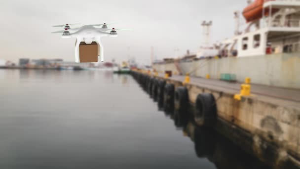Animación Digital Dron Que Lleva Paquete Sobre Agua Avión Tripulado — Vídeo de stock