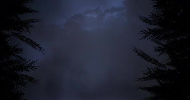 空に稲妻が動く木々のシルエットのデジタルアニメーションと背景4Kの雲 — ストック動画