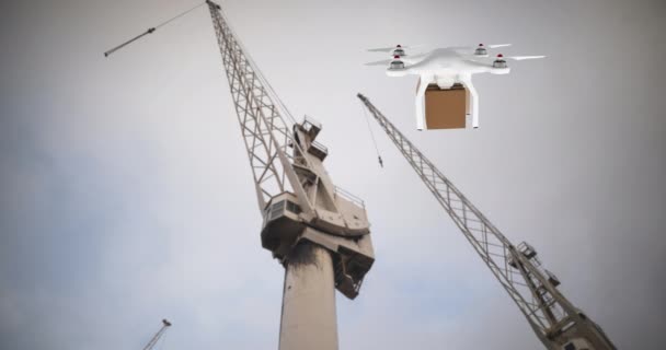 Digitális Animáció Egy Fehér Drone Hordozó Barna Dobozban Miközben Lebeg — Stock videók