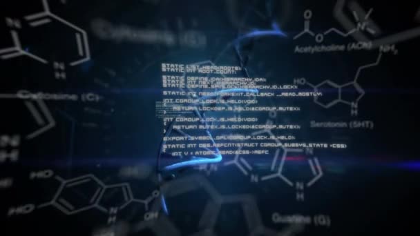 Digitale Animation Des Studiums Der Dna Helix Molekularstruktur Illustrationen Und — Stockvideo