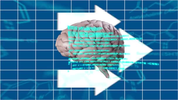 グリッド上で回転する人間の脳のデジタルアニメーション 白い矢印が右に移動している — ストック動画