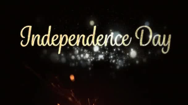 Animación Digital Fuegos Artificiales Del Día Independencia Sobre Fondo Negro — Vídeos de Stock