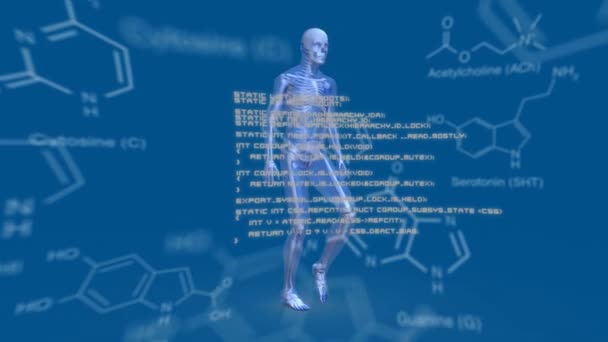 Animering Mänsklig Vandring Cirkel Omgiven Data Blå Bakgrund — Stockvideo