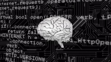 Program kodları ile beyin dijital animasyon. Arka plan beyaz çizgilerle siyah bir devre kartı