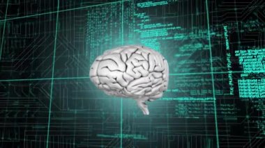 Ekranın ortasında dönen bir beynin dijital animasyon arka plan ekranda program kodları hareket ile bir dijital devre gösterir iken