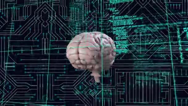 プログラムコードがデジタル回路の背景を持つ画面内を移動しながら 画面内で回転する脳のデジタルアニメーション — ストック動画