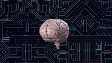 Dijital devre bir arka plan ile ekranda dönen bir dijital beyin dijital animasyon