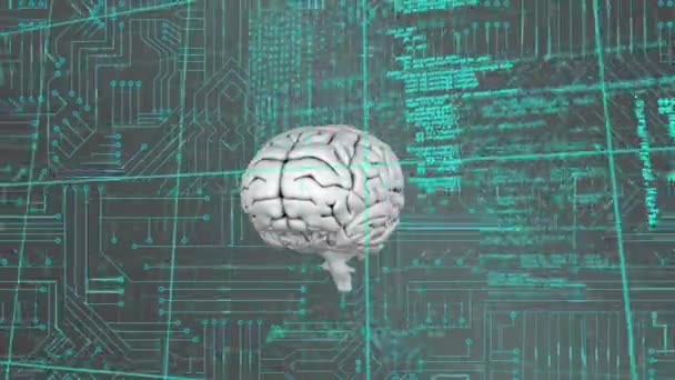 Digitální Animace Mozku Otáčejícího Obrazovce Zatímco Programové Kódy Pohybují Obrazovce — Stock video
