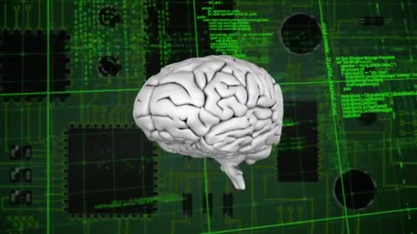 デジタル回路とプログラムコードを背景に画面で回転する白い脳のデジタルアニメーション — ストック動画