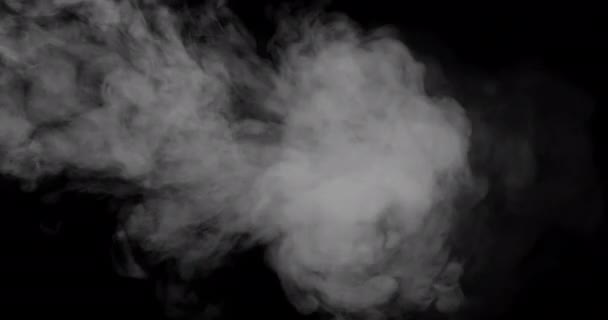 Rauch Weht Bei Festen Oder Feiern Über Die Leinwand — Stockvideo