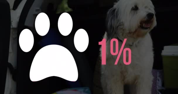 Animatie Van Hond Paw Vorm Percentage Stijgen Van Nul Naar — Stockvideo