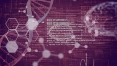 3d beyin diyagramları, metin ve veri karanlık bir bordo arka plan üzerinde hareket ile bir dönüm DNA iplikçik animasyonu