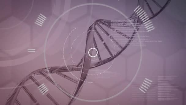 Dna Dan Oluşan Bir Iplikçik Soluk Yanıp Sönen Altıgenlerle Sessiz — Stok video