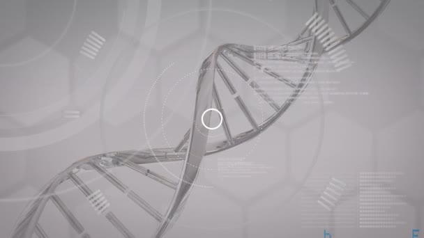 Dna Iplikçik Mavi Metin Veri Soluk Gri Altıgenler Ile Sessiz — Stok video