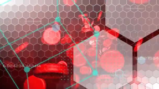 Animation de globules rouges, hexagones bleus et cubes turquoise apparaissant sur maille hexagonale sur fond rouge à gris 