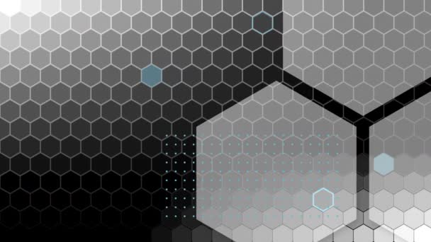 Animation Grå Och Blå Hexagoner Som Förekommer Hexagonala Mesh Svart — Stockvideo