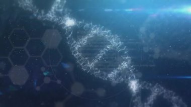 Koyu mavi arka plan üzerinde zonklayan halkalar ve şekiller ile bir dönüm 3d Dna iplikçik animasyonu